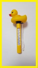 Pool Thermometer Ente