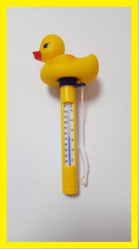 Pool thermometer ente - pool,