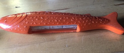 Badethermometer fisch rot - fisch,
